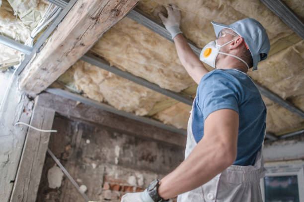 Best Insulation Replacement Services  in New Hope, PA